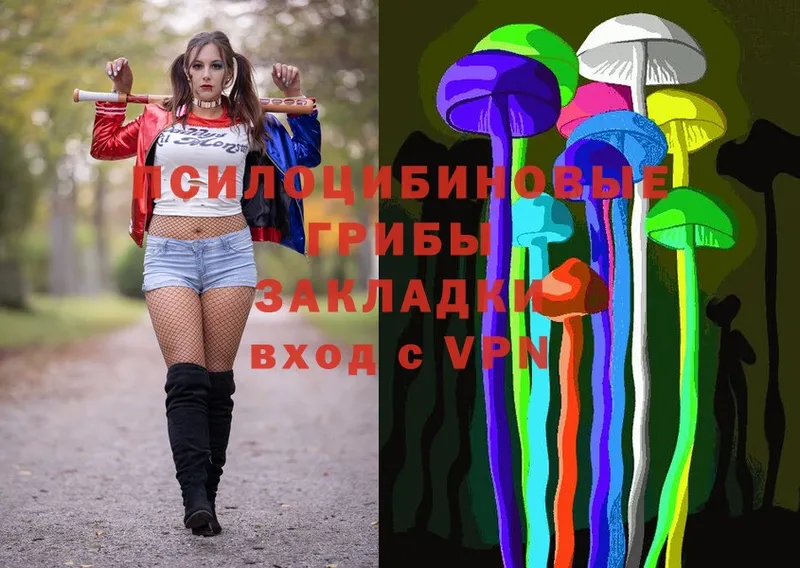 Галлюциногенные грибы Cubensis  Ивантеевка 